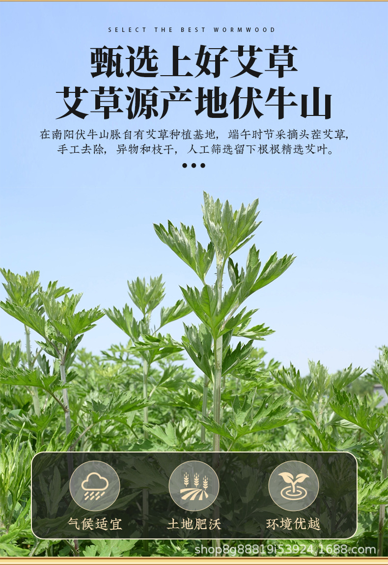 482ac92f9559ffbb3256db6abeebcf6d_O1CN01ET1HIx1SHGWofszlW_!!2216000472221-0-cib.jpg